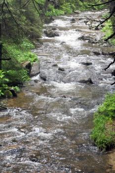 The forest Carpathian Mountain river Prut, which originates on Mount Hoverla