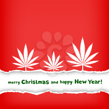 Christmas congratulation torn red paper and frame with the message of greetings on white background. Growing cannabis hemp marijuana white leaf