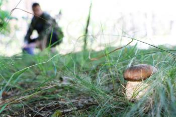 The mushroomer find big cep which grows in the sun rays on a grass, close-up photo