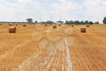 The haystacks on a slant sunny field and a farm on the horizon