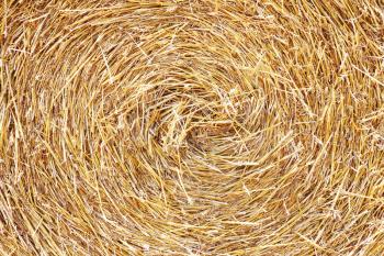 The swirl haystack texture background in the sunlight