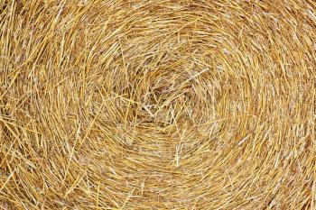 The swirl haystack texture background in the daylight