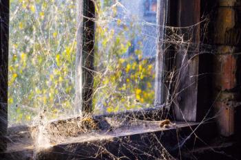 Old window with cobweb and darkness inside