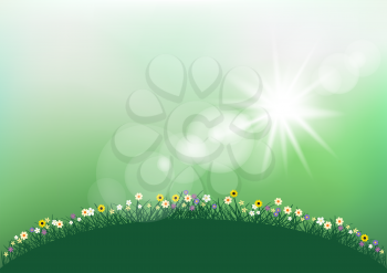 Spring sunshine light and grass with flowers. Ground meadow silhouette landscape on green blurry sky background. Nature fresh floral backdrop