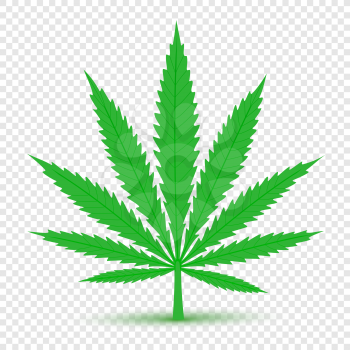 Cannabis plant icon with shadow on transparent background. Hemp narcotic sign symbol. Green marijuana leaf