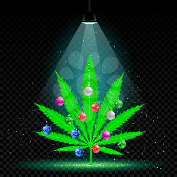 Christmas hemp tree with holiday balls grows in lamp lights. Snow falls on background. Growing cannabis marijuana plant with colorfull ball