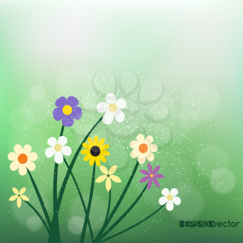 Wild flowers on green blurry bokeh background. Nature spring or summer abstract flora. Chamomile cornflower violet snowdrop grow on natural agriculture backdrop