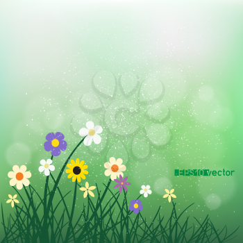 Wild flowers and grass on green blurry bokeh background. Nature spring or summer abstract flora. Chamomile cornflower violet snowdrop grow on natural agriculture backdrop