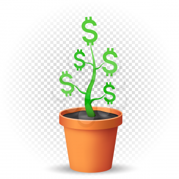 Dollar grows in the flowerpot with shadow on transparent background. Green money growing illustration