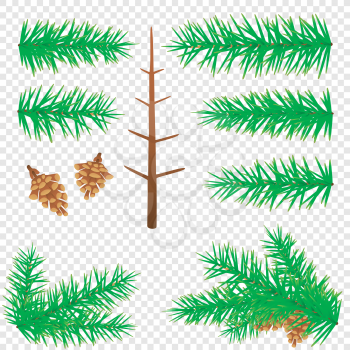Spruce branches and pine cones set collection on transparent background. Different plant parts to make Christmas tree