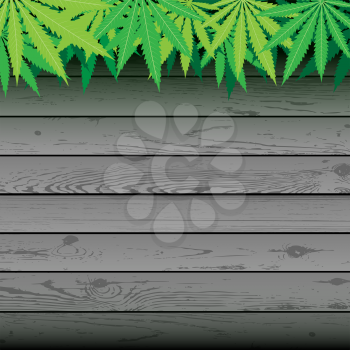 Hemp plant cannabis leaves and gray plank wooden background. Marijuana narcotic wallpaper. Green hashish smoker illustration