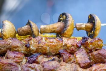 Barbecue shish kebab cook. Tasty grill corn and champignons dinner cooking. Food BBQ background. Roasted fresh beef meat