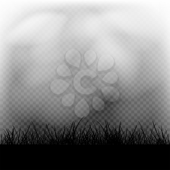 Fog and grass in transparent dark background. Plants silhouette in darkness