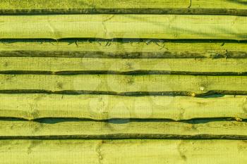 Old green wood plank background. Wall floor or fence exterior design. Natural wooden material backdrop