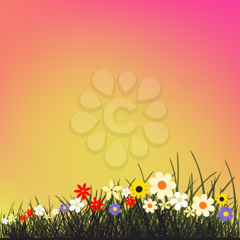 Summer flowers grows in grass. Beautiful spring or summer nature meadow.