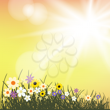 Summer flowers grows in sun rays. Grass silhouette on evening yellow and orange sunshine backdrop. Spring or summer beautiful nature meadow