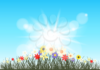 Summer flowers grows in sun rays. Grass silhouette on blue sunshine clear sky backdrop. Spring or summer beautiful nature evening or morning meadow