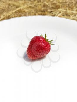 Single strawberrie with shadow on white plate hay and straw on background. Farm rural food
