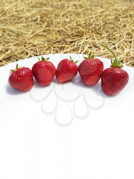 Many strawberries with shadow on white plate hay and straw on background. Farm rural food