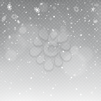 Christmas snowfall template on transparent background. Winter snow falling mockup. Snow decoration backdrop