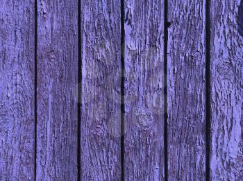 Purple blue wooden old texture backdrop. Natural wood plank material backdrop. Art color tree interior or exterior