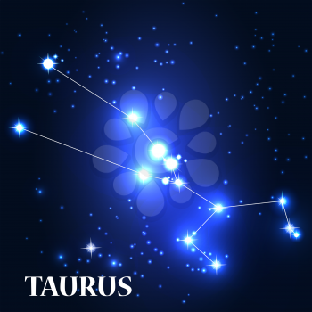 Symbol. Taurus Zodiac Sign. Vector Illustration EPS10