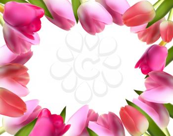 Beautiful Pink Realistic Tulip Frame Vector Illustration EPS10