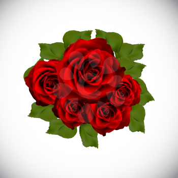 Realistic Rose High Quality Vector Illustration EPS10