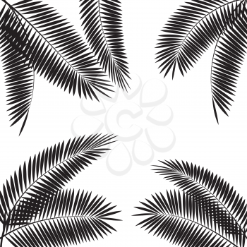 Palm Leaf. Isolated on White Background. Vector Illustration EPS10