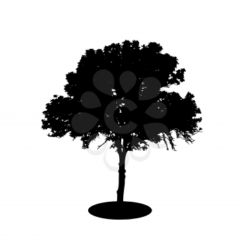 Tree Silhouette Isolated on White Backgorund. Vector Illustration. EPS10