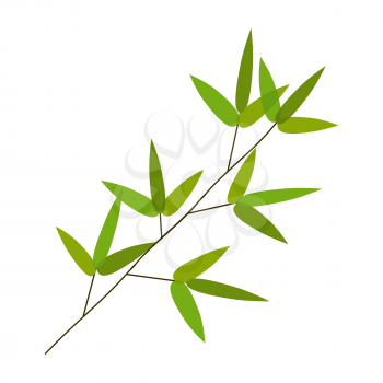 Colourful Bamboo Leaves. Vector Illustration. EPS10
