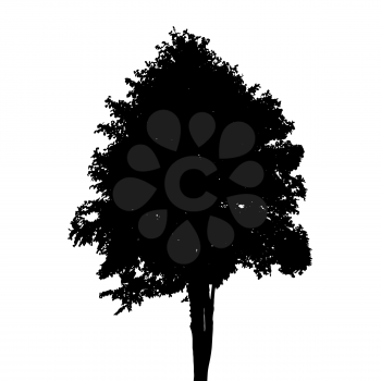 Tree Silhouette Isolated on White Background. Vector Illustration. EPS10