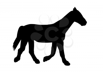 Silhouette Horse. Vector Illustration. EPS10