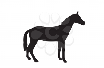 Horse Isolated on White Background. Vector Illustration.