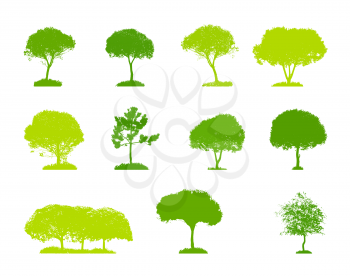 Set of Tree Silhouette Isolated on White Backgorund. Vector Illustration.