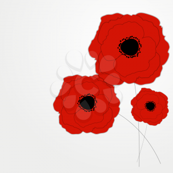 Red Poppies Flower Background Vector Illustration. EPS10