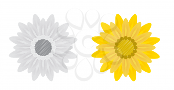 Abstract Flowers on White Background. Vector Illustration. EPS10