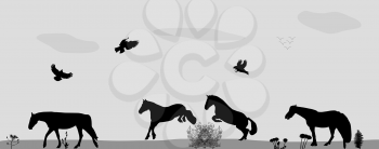 Horses Jumping, Birds Fly in Nature. Vector Illustration. EPS10