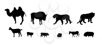 Silhouette of Wild and Domestic Animals. Black and White. Vector Illustration.