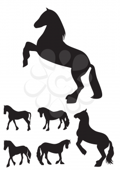 Black Horse Silhouette Set Vector Illustration EPS10