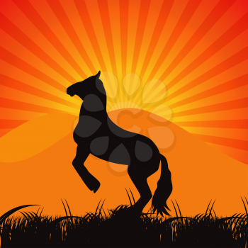 Black Horse Silhouette Vector Illustration EPS10