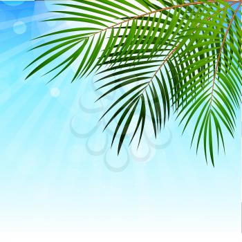 Palm Leaf Vector on Background Illustration EPS10