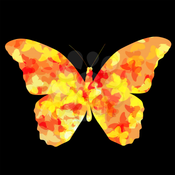 Colored Butterfly Icon Silhouette Vector Illustration EPS10
