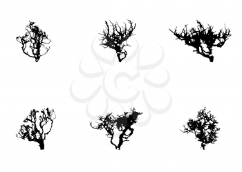 Set of Tree Silhouette Isolated on White Backgorund. Vector Illustration. EPS10