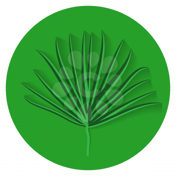Green Palm Leaf on White Background. Vector Illustration. EPS10