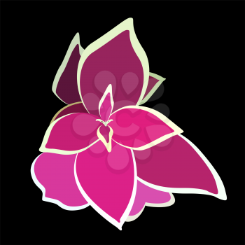 Bouquet Beautiful Pink Flower. Vector Illustration. EPS10
