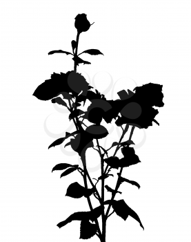 Black and White Rose Silhouette. Vector Illustration. EPS10