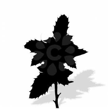 Silhouette of Plants. Vector Ilustration. EPS10