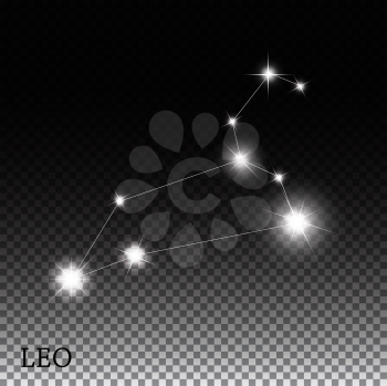 Leo Zodiac Sign of the Beautiful Bright Stars Vector Illustration EPS10