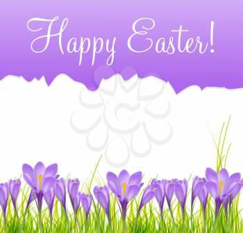 Happy Easter Card with Crocuses Vector Illustration
